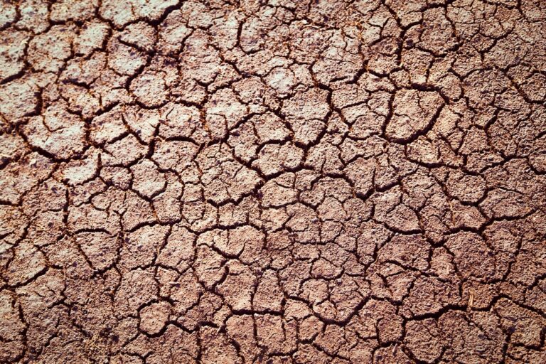 Cracked ground texture, drought background